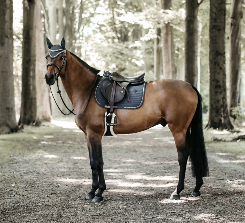 Kentucky Jumping Saddle Pad Pearls Grey-3