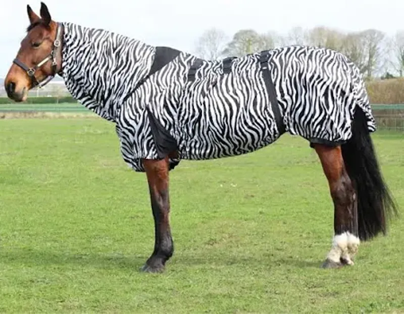 StormX Original Sweet Itch Zebra Rug Black and White