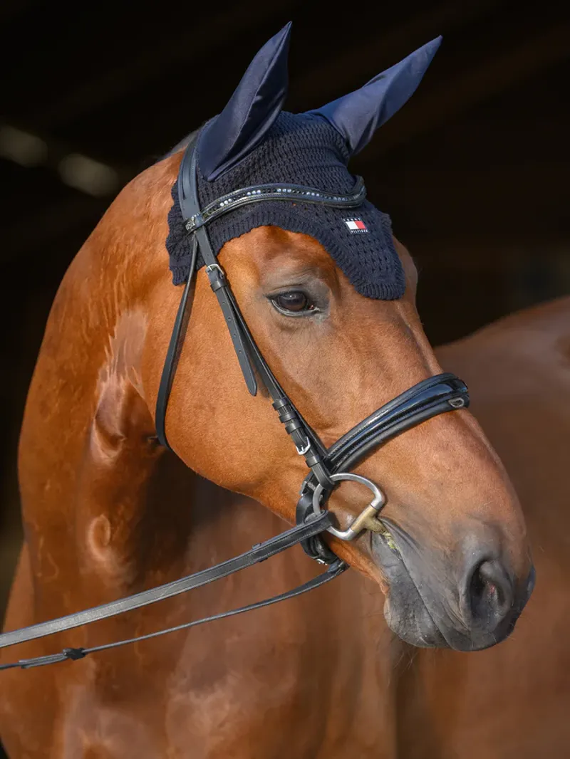 Tommy Equestrian Lexington Fly Hood Desert Sky-4