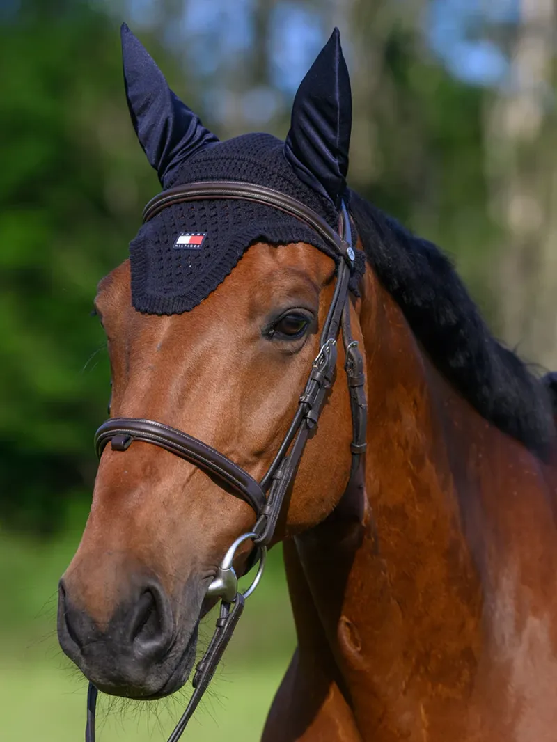 Tommy Equestrian Lexington Fly Hood Desert Sky-5