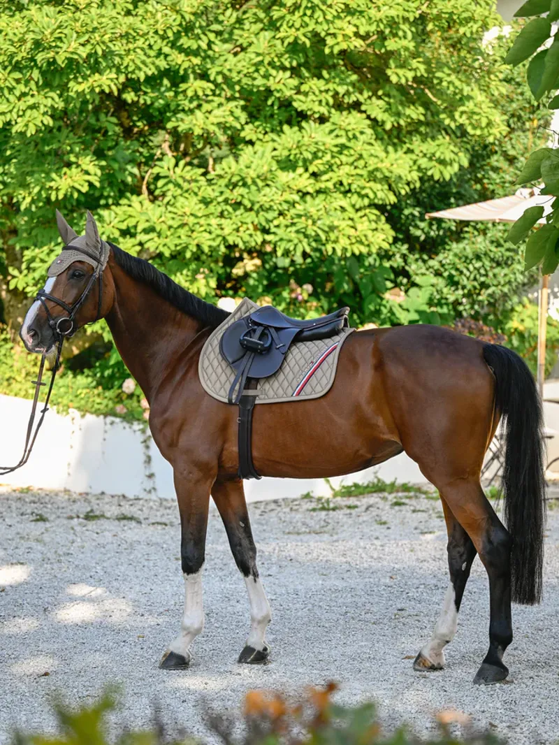 Tommy Equestrian Stanford Jumping Saddlepad Taupe-5