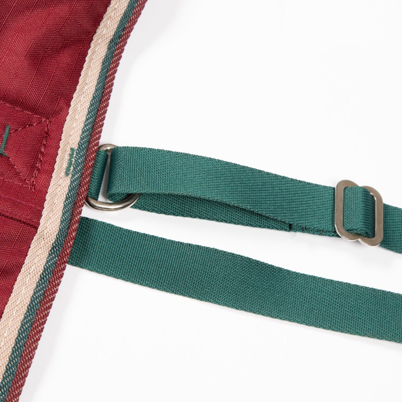 Tempest Original 200g Turnout Rug Maroon-3