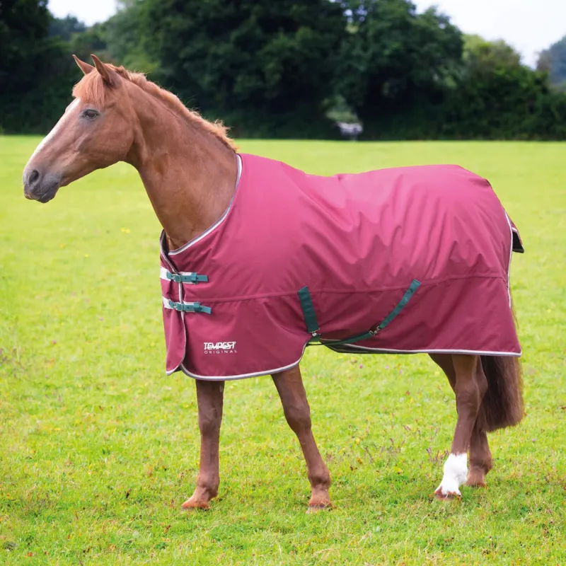 Tempest Original 200g Turnout Rug Maroon
