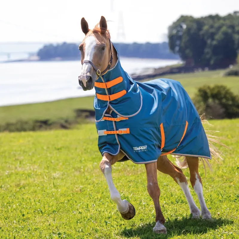 Tempest Original Lite Turnout Rug and Neck Set Teal