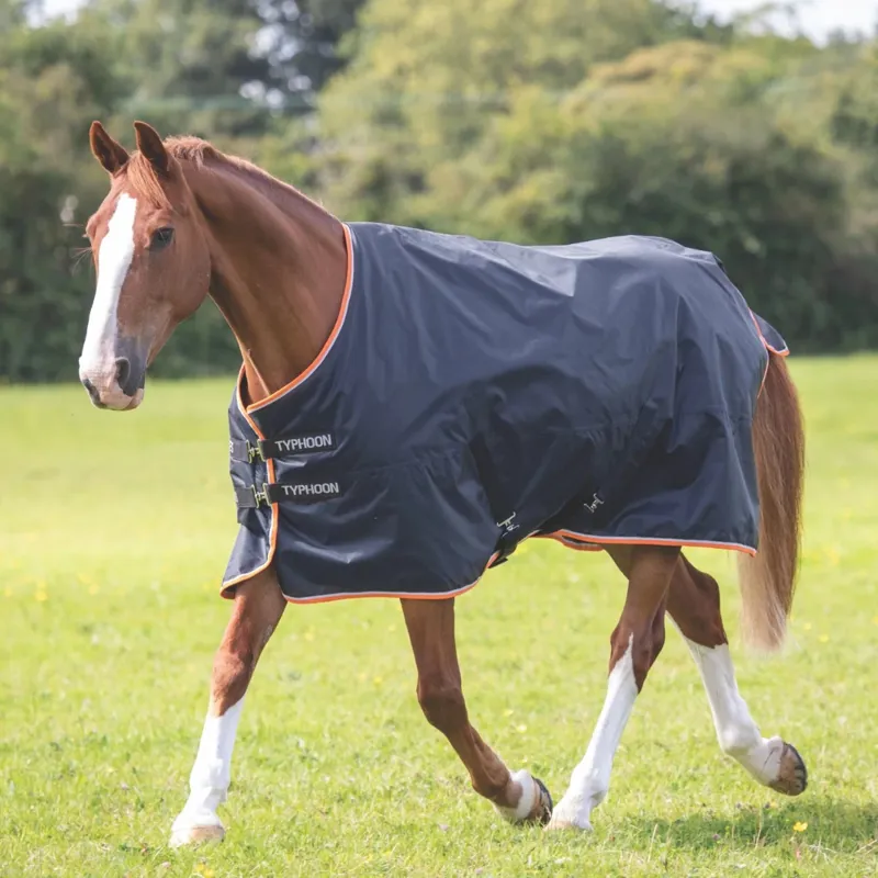 Typhoon 200g Turnout Rug Black