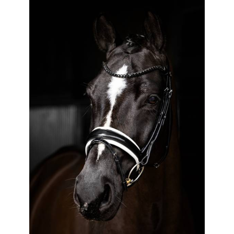 LeMieux Kudos Patent Dressage Bridle Black/White-1