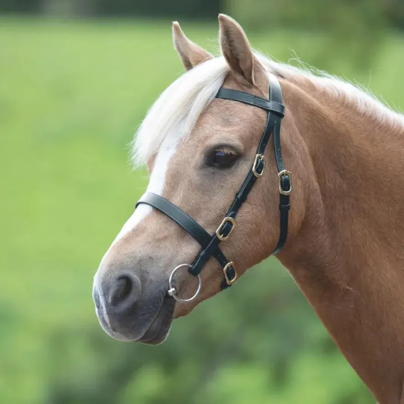 Velociti GARA Plain Inhand Bridle Havana