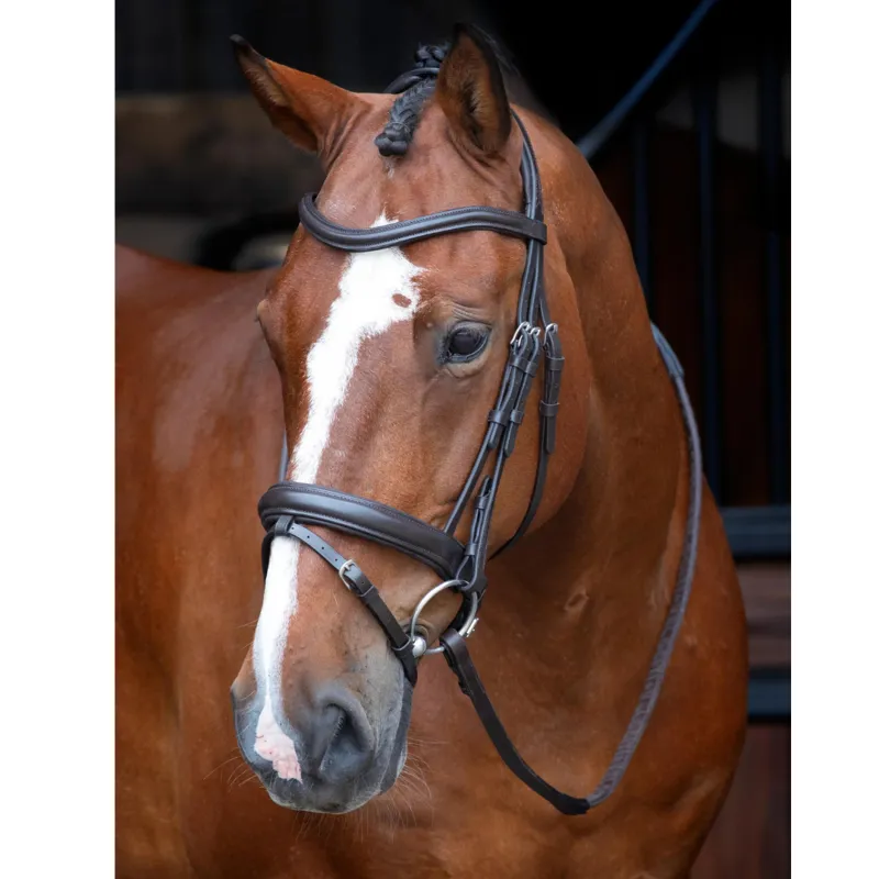 Velociti RAPIDA Dressage Bridle With Flash Havana