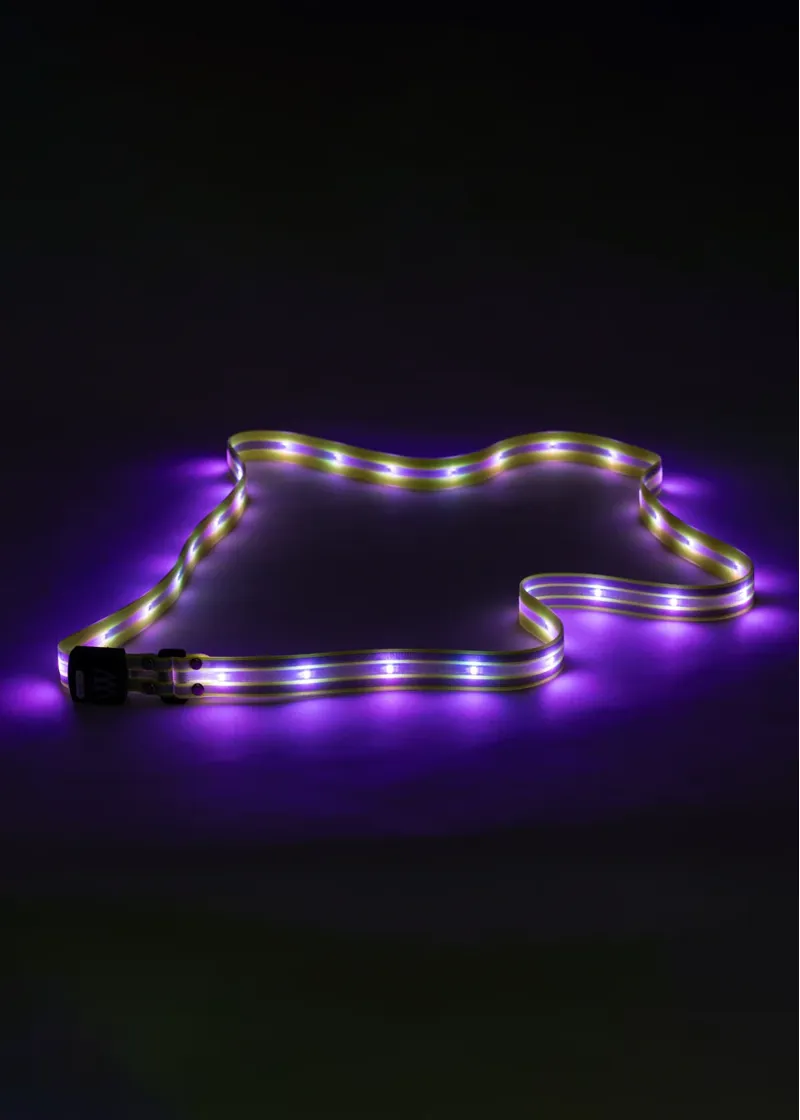 Woof Wear LED Sash -5