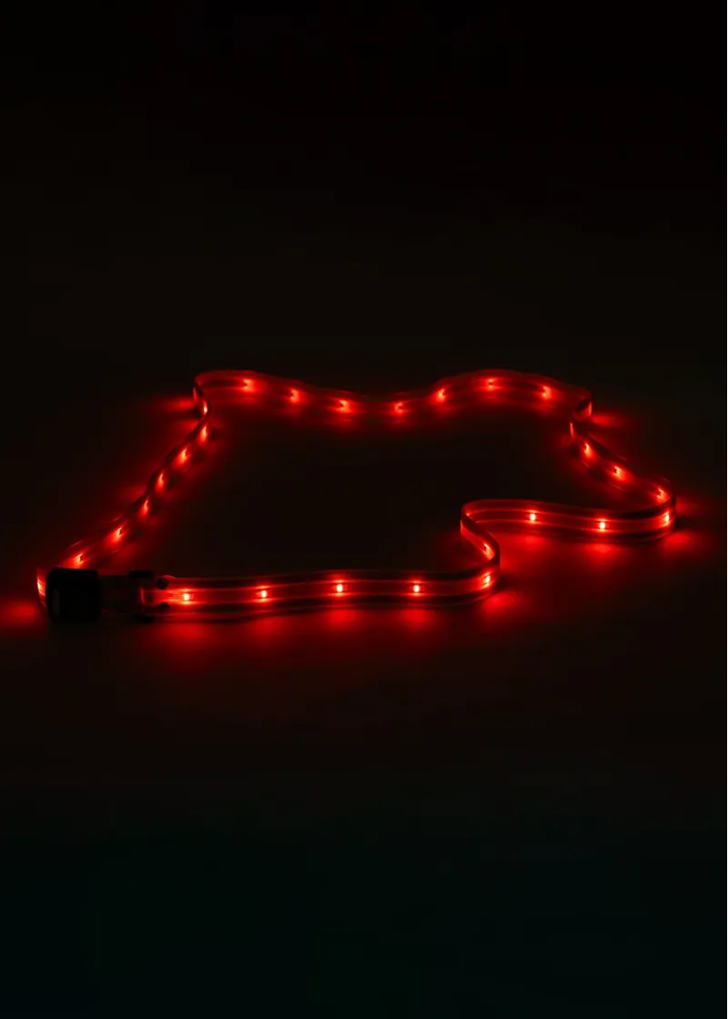 Woof Wear LED Sash -6