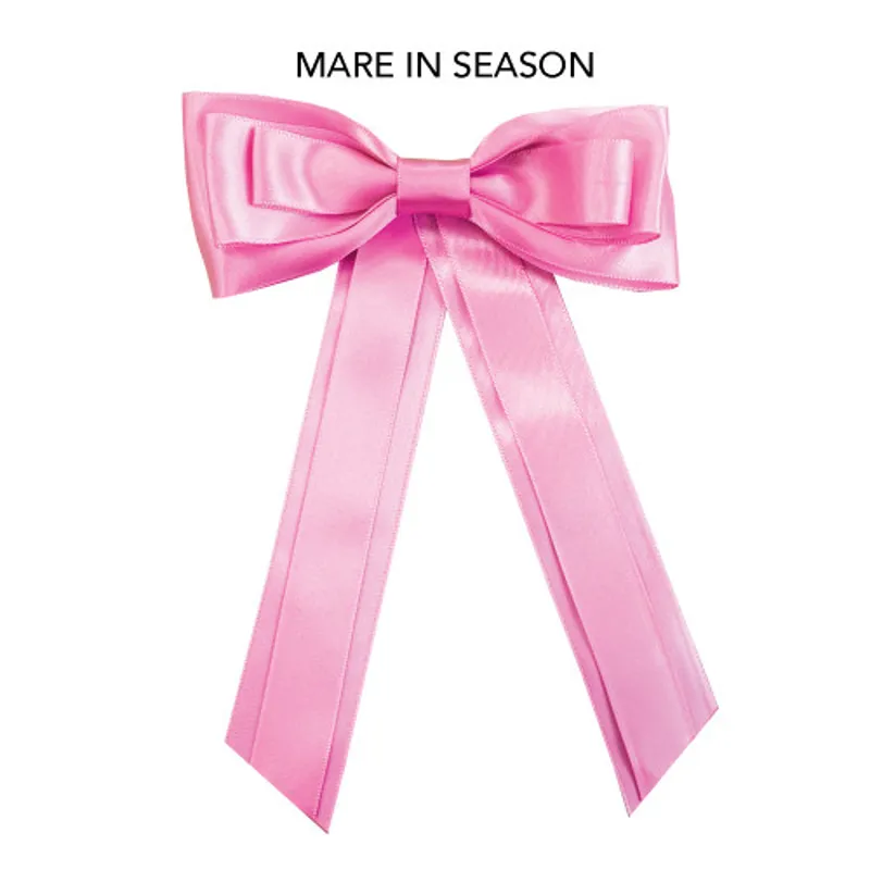 Horse Competition Warning Tail Ribbon - Pink 