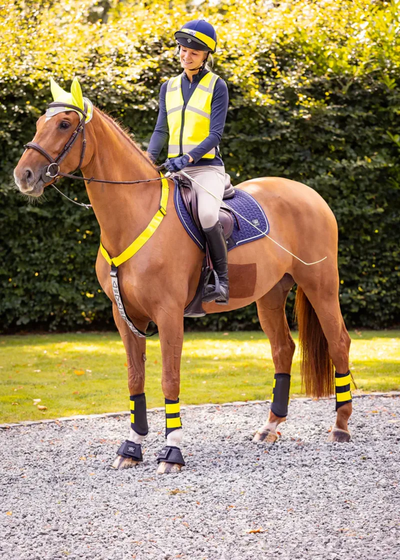 WoofWear Hi Vis Neck Band Yellow-1