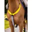 WoofWear Hi Vis Neck Band Yellow