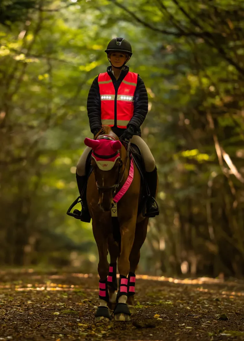 Woofwear LED Hi Vis Riding Vest Pink-1