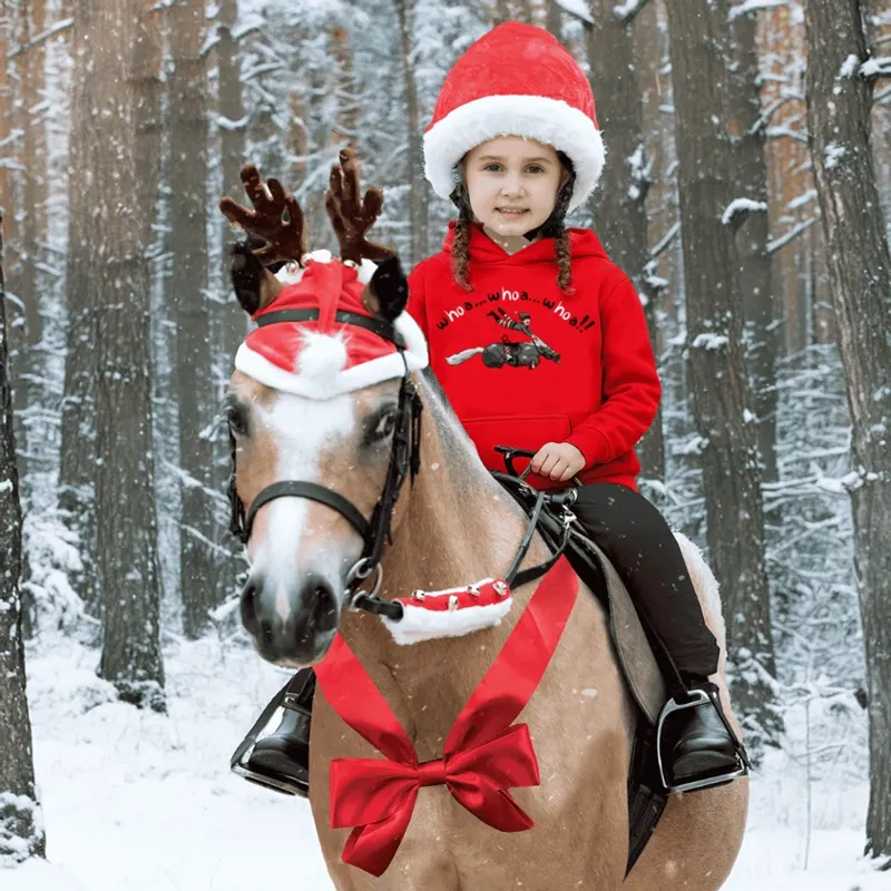 Junior Whoa Horsey Christmas Hoodie Red-1