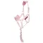 LeMieux Hobby Horse Vogue Headcollar And Leadrope Blossom
