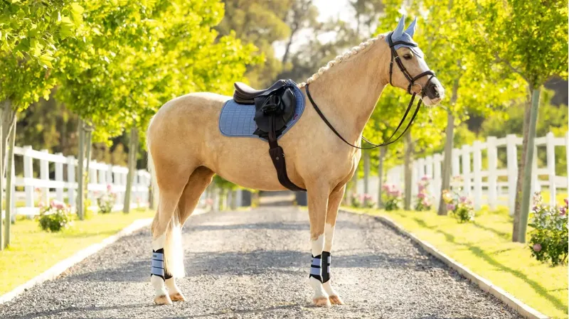 LeMieux Suede Close Contact Square Powder Blue-1