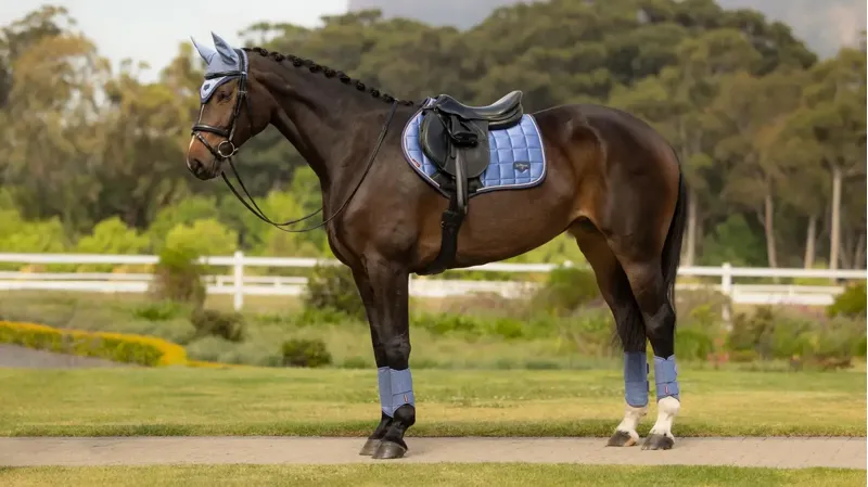 LeMieux Loire Classic Close Contact Square Powder Blue-1