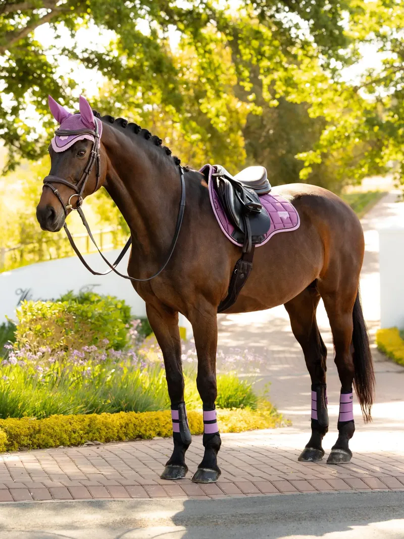 LeMieux Loire Classic GP Square Mallow-1