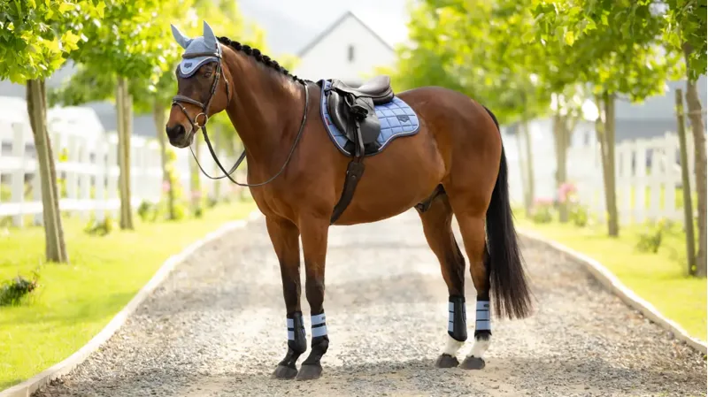 LeMieux Loire Classic GP Square Powder Blue-1