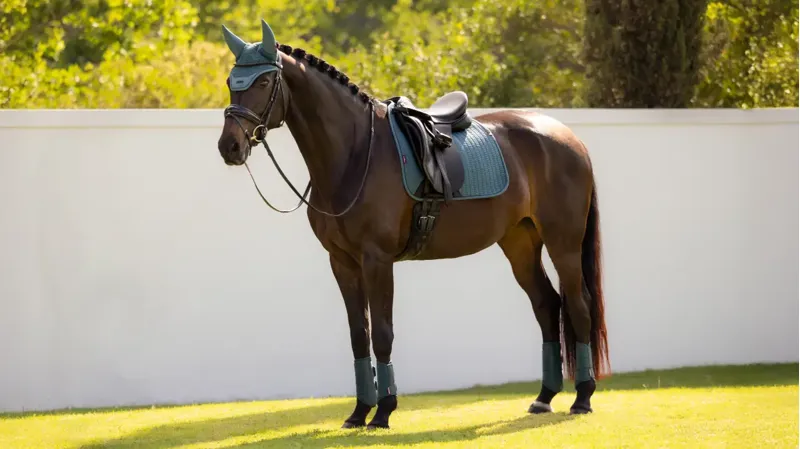 LeMieux Essence Dressage Square Jungle-1