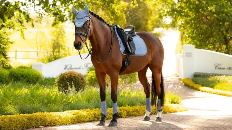 LeMieux Essence Dressage Square Powder Blue-1