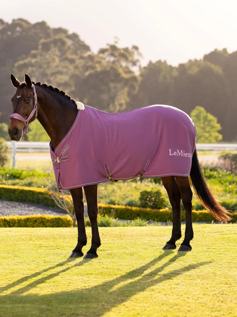 LeMieux Kudos Bamboo Cooler Mallow