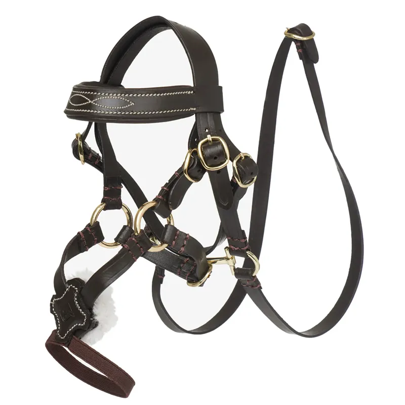 LeMieux Toy Pony Grackle Bridle Brown