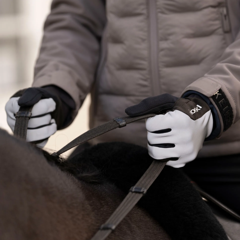 Roeckl Wolfach Riding Gloves Silver Reflect-1