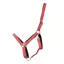 Hy Equestrian Glitzy Headcollar in Red