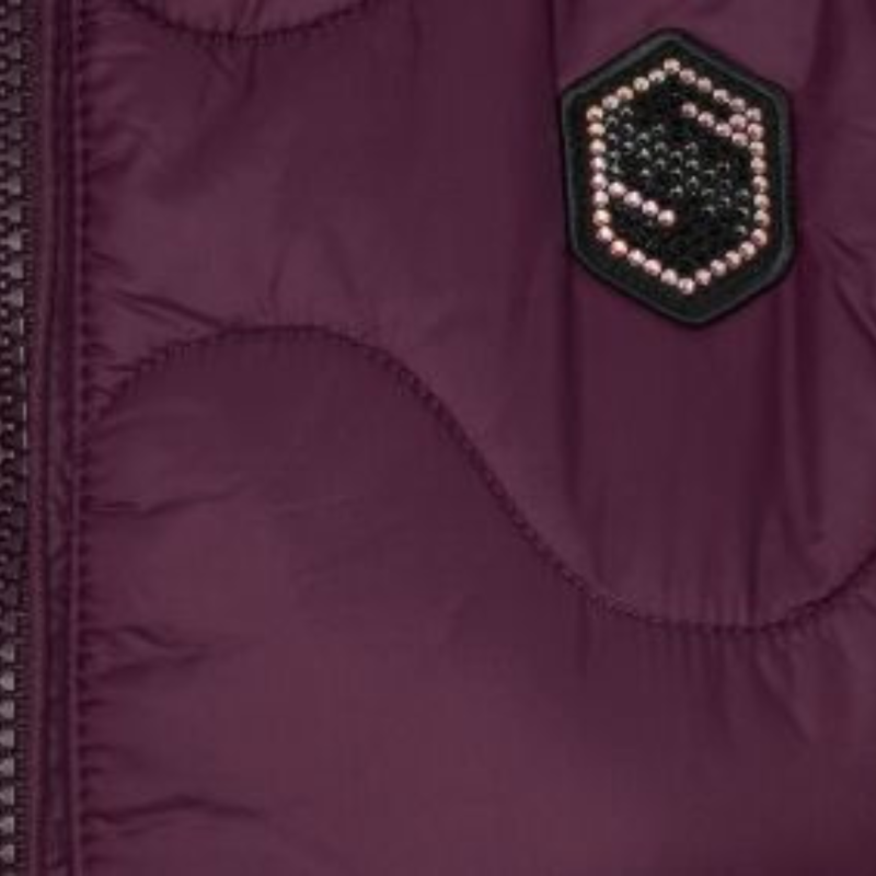 Samshield Alta Badia Women's Down Vest -1