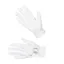 Samshield V-Skin Swarovski Riding Gloves White