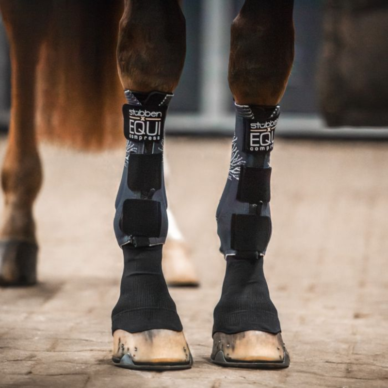 Stubben EQUI Compress Set Front Legs-1