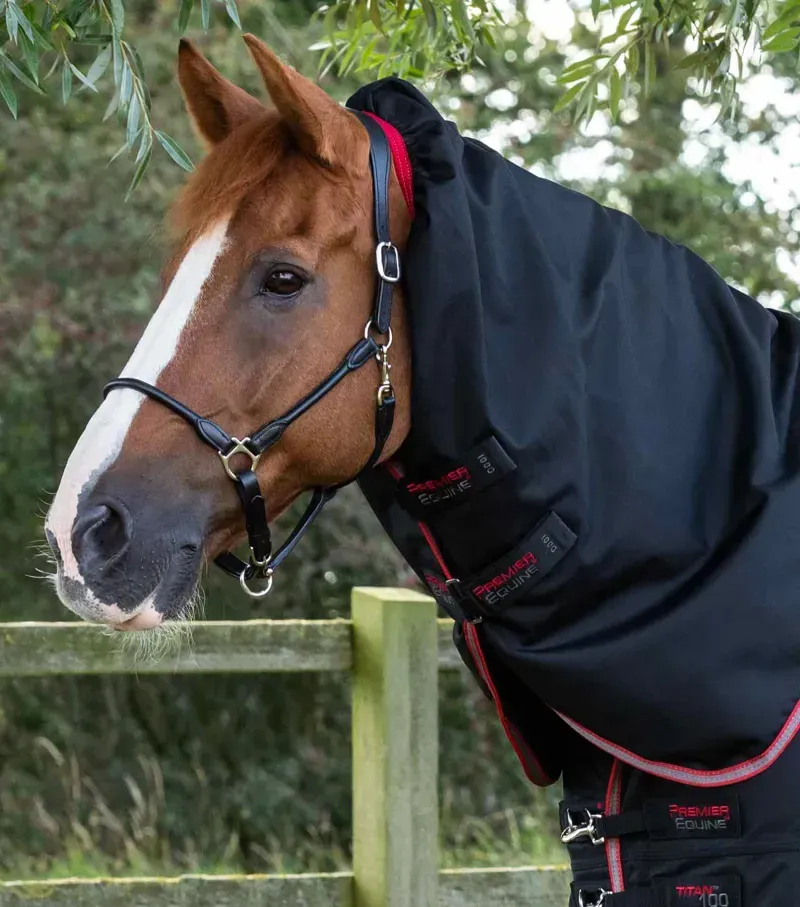Premier Equine Titan 100g Turnout Rug With Snug-Fit Neck Cover in Black-1