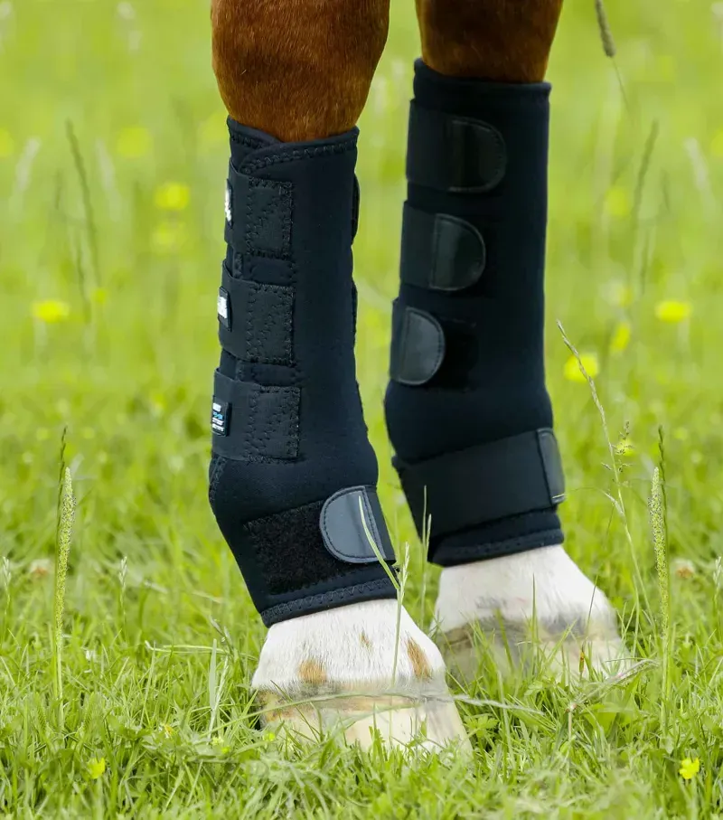 Premier Equine Turnout Boots in Black-3