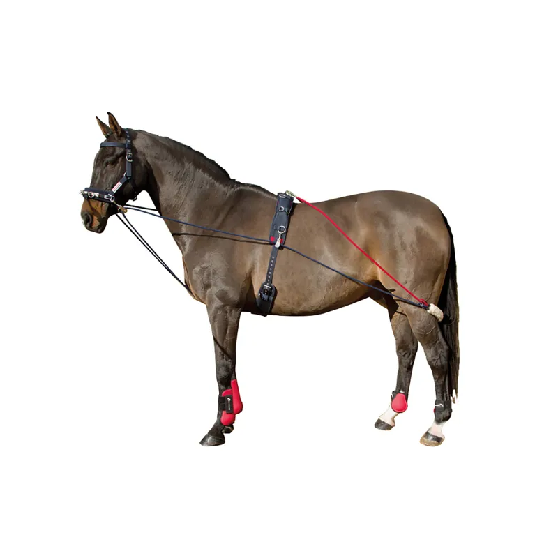 Whitaker Training System in Blue